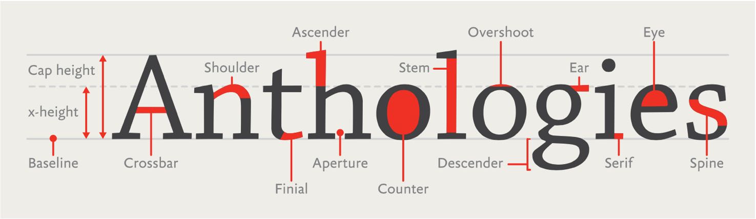 A diagram of typeface terminology
