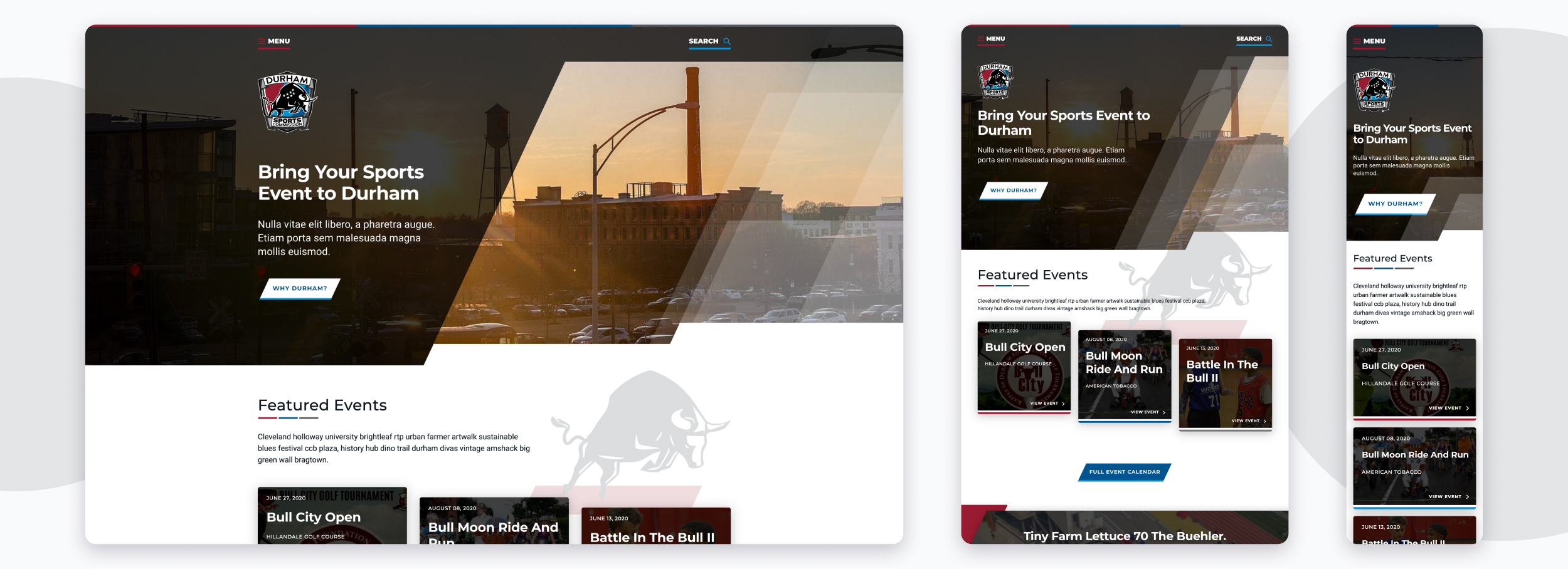 Durham Sports Commission homescreen on different pages
