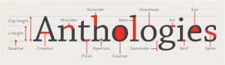 A diagram of typeface terminology